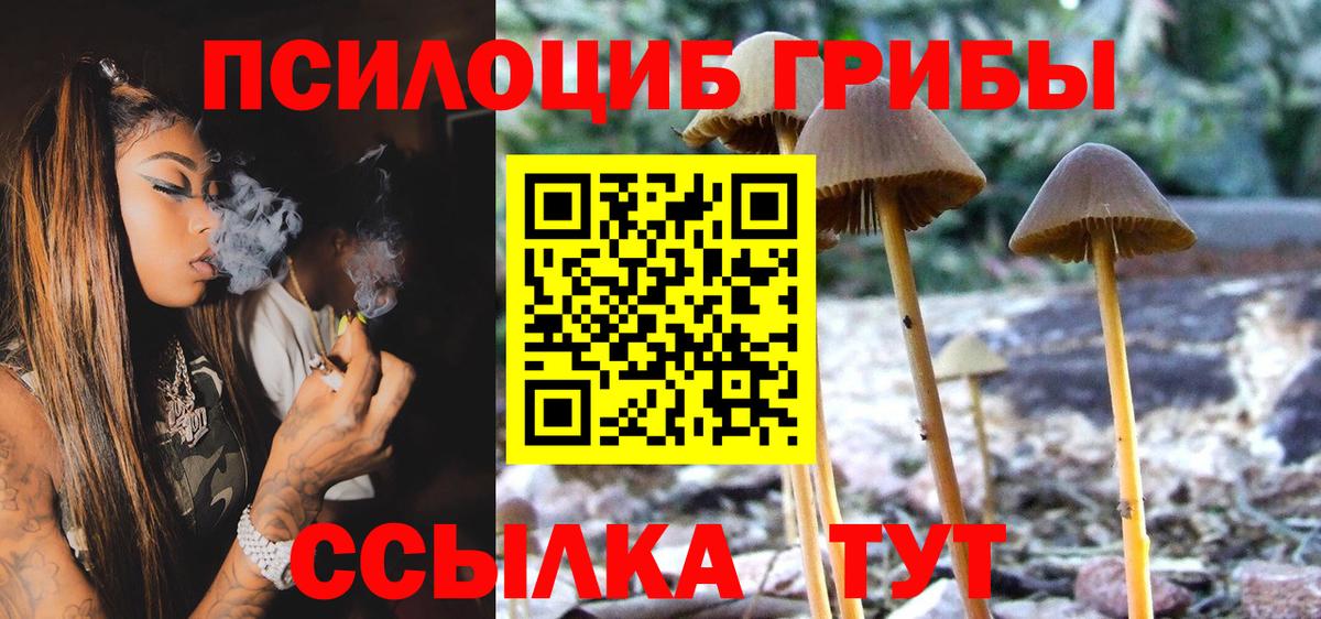 Галлюциногенные грибы MAGIC MUSHROOMS  Вход с VPN  купить наркотик  Ессентуки  Псилоцибиновые грибы Magic Shrooms 