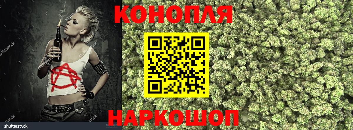 Шишки марихуана планчик  Вход с VPN  Бошки Шишки тримм  МАРИХУАНА Bruce Banner  Ессентуки 